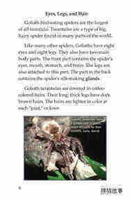 Goliath Bird Eating Spiders Giant Arachnids绘本故事第5页
