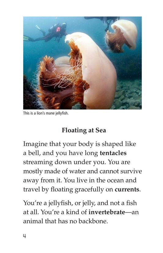 You're a Jellyfish!绘本故事第3页