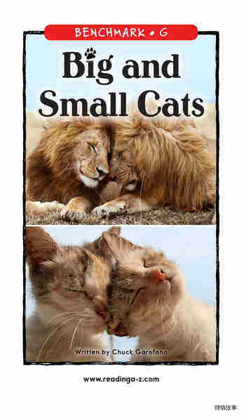Big and Small Cats