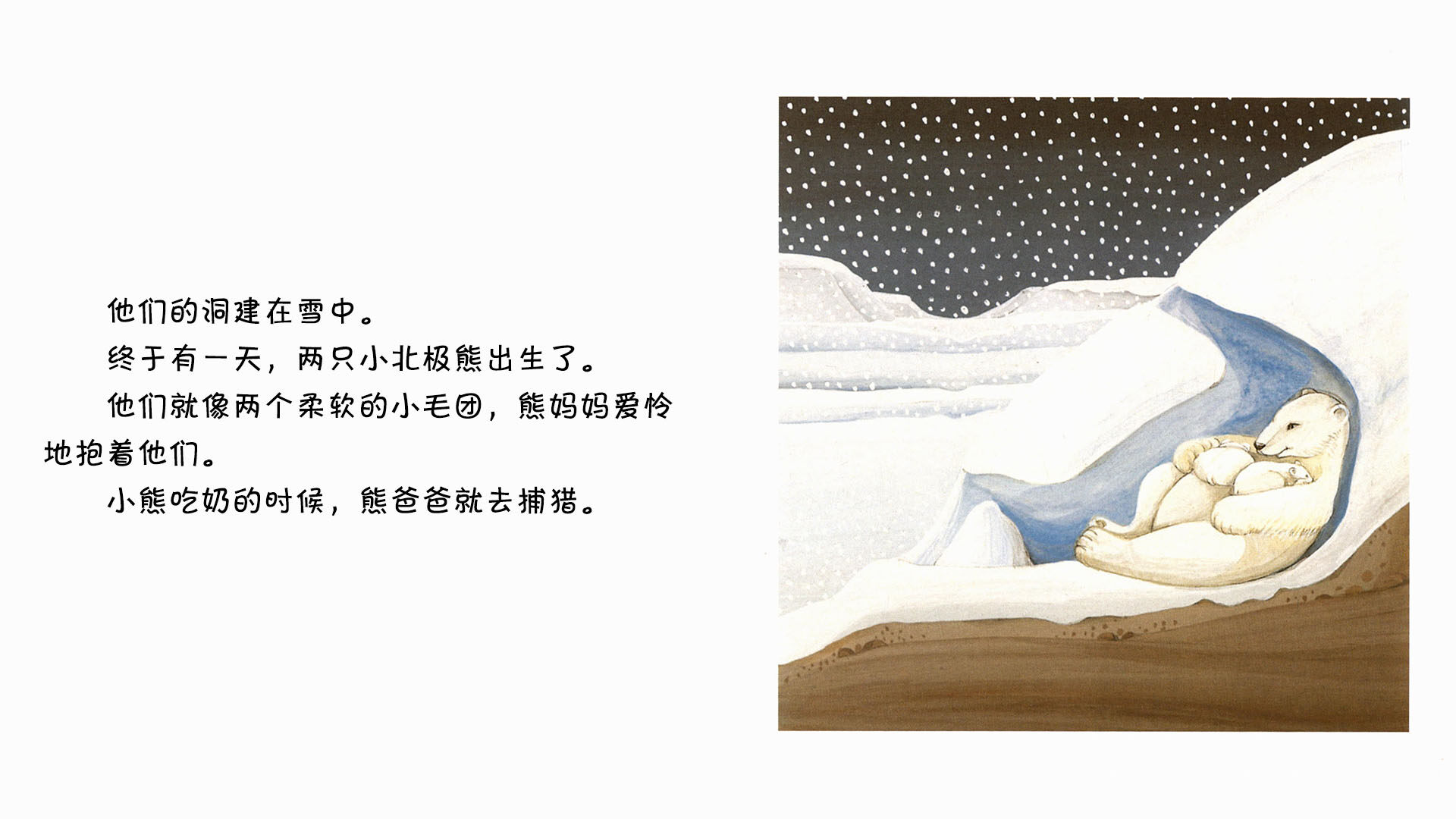 北极熊绘本故事第5页