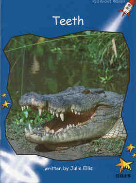 teeth