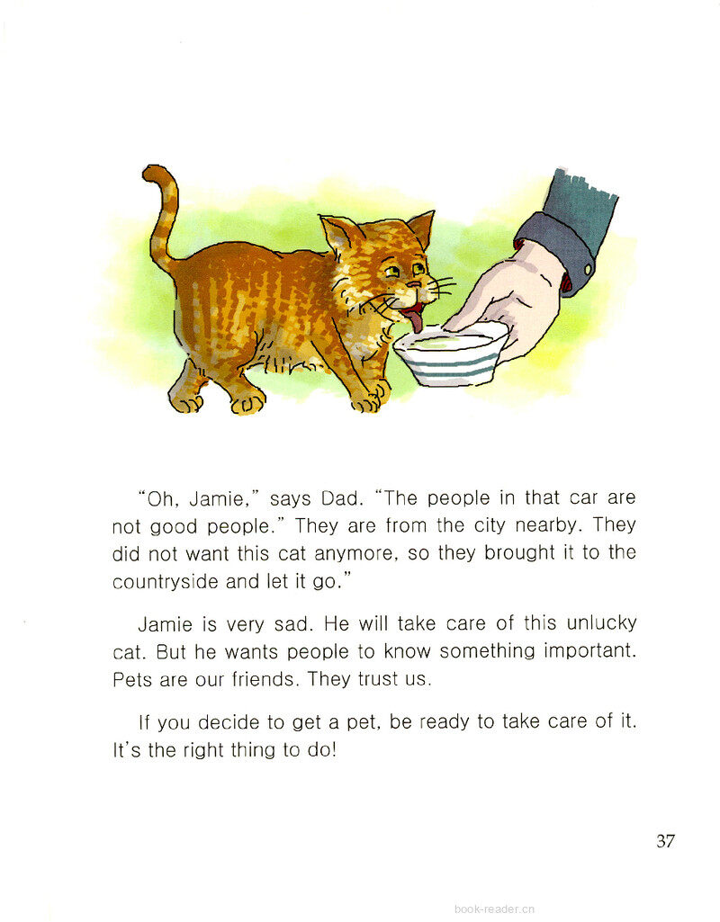 Stray Cat绘本故事第3页