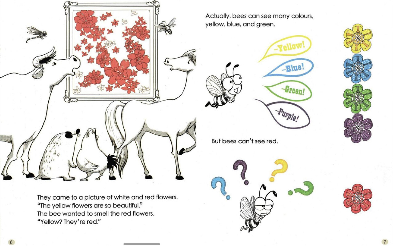 The World Through the Eyes of animals 绘本故事第5页