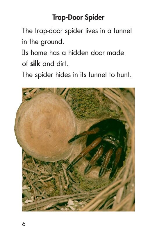 Wonders of Nature绘本故事第5页