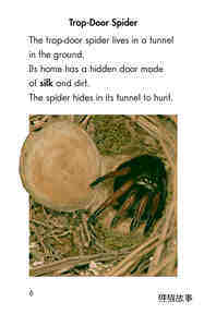 Wonders of Nature绘本故事第5页