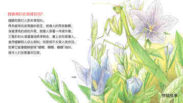 冷面剪刀手螳螂绘本故事第4页