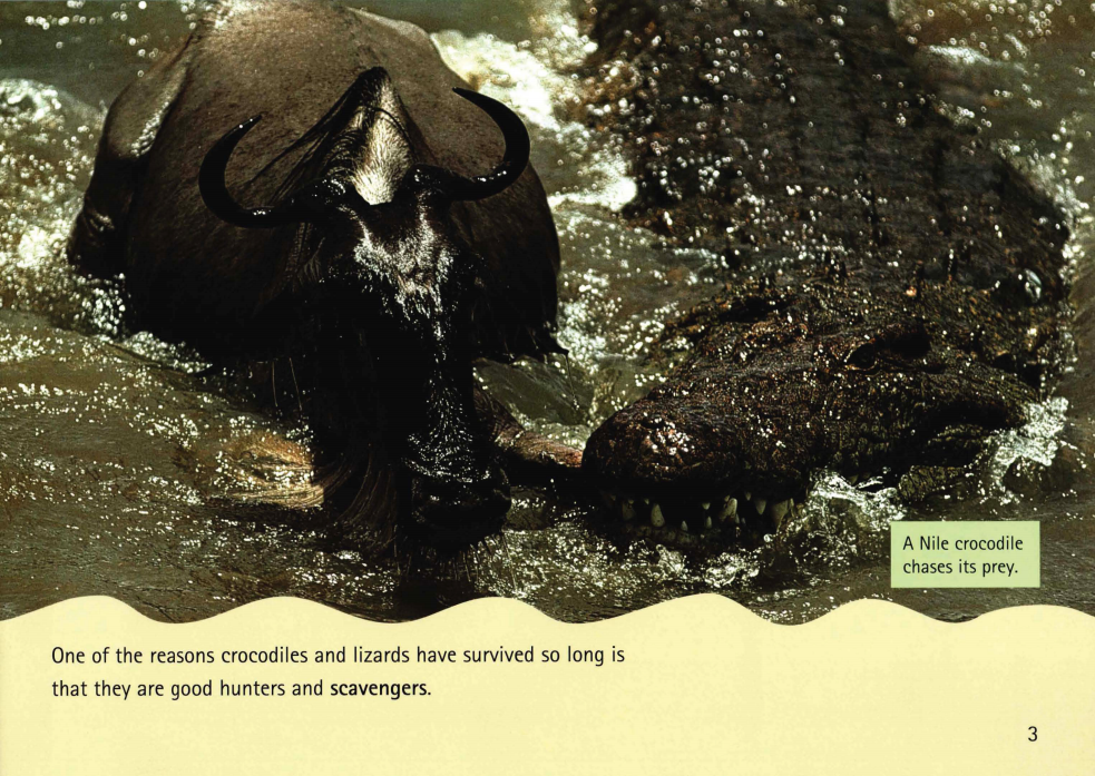 Living Dinosaurs绘本故事第4页