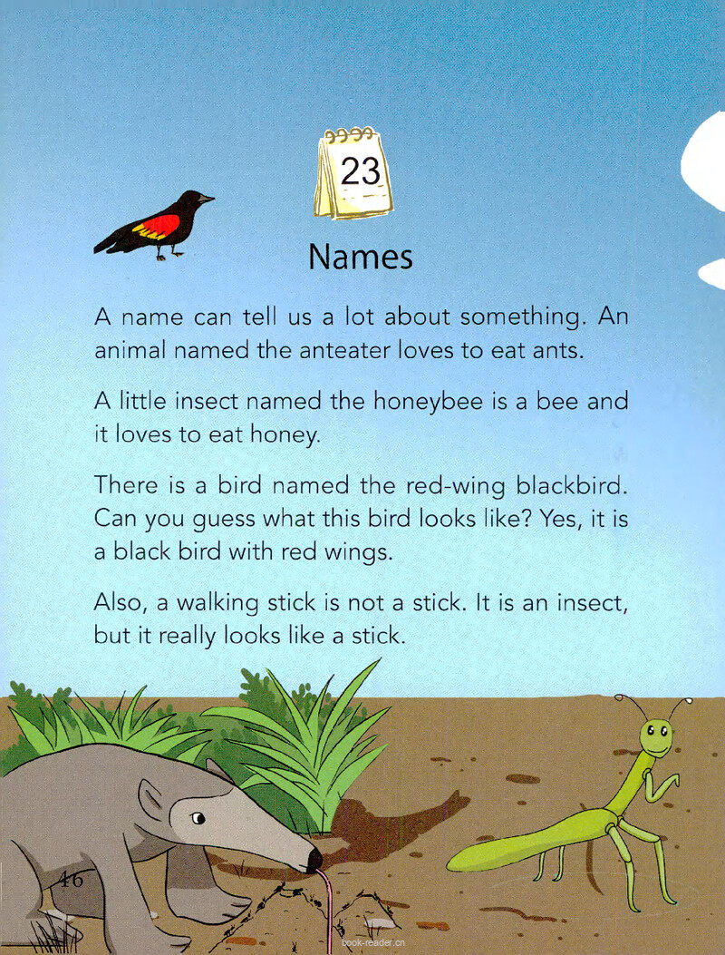 Names绘本故事第2页