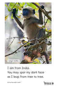 Are You From India绘本故事第5页