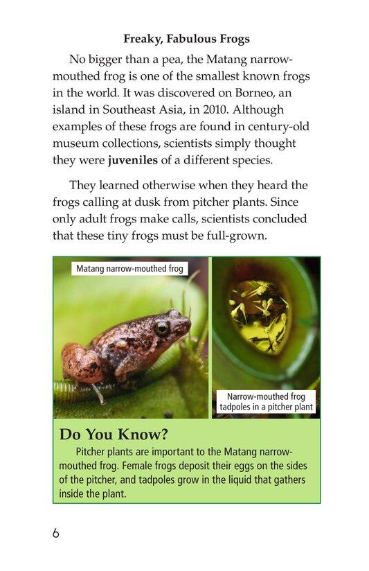 Animal Discoveries绘本故事第5页