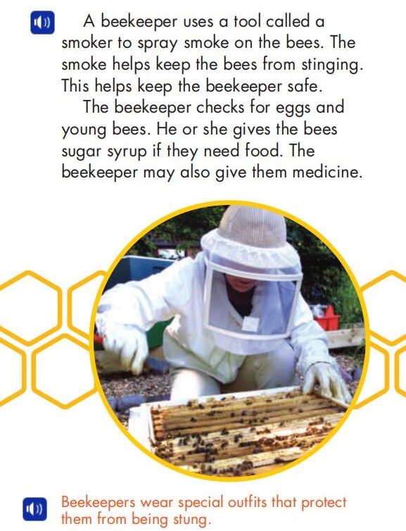 A Beekeeper's Work绘本故事第5页