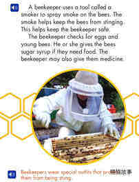 A Beekeeper's Work绘本故事第5页