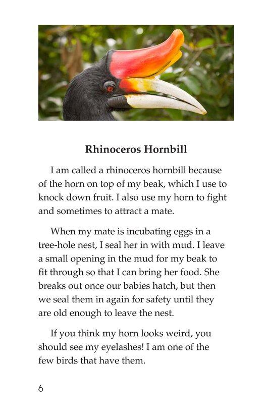 Weird Bird Beaks绘本故事第5页