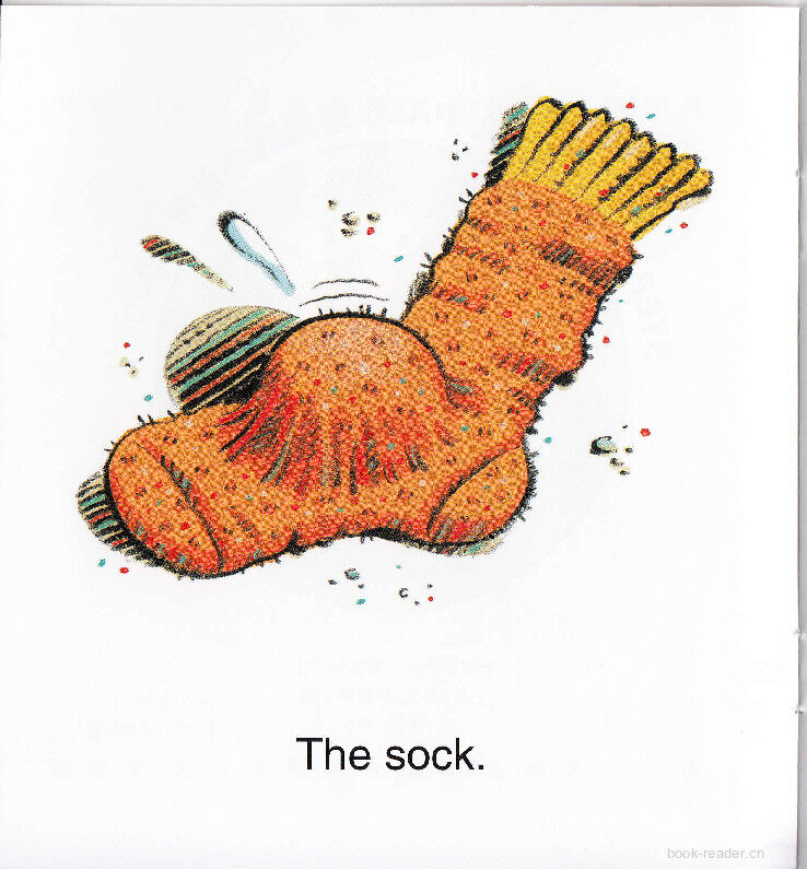 Hop,Frog,Hop!绘本故事第3页