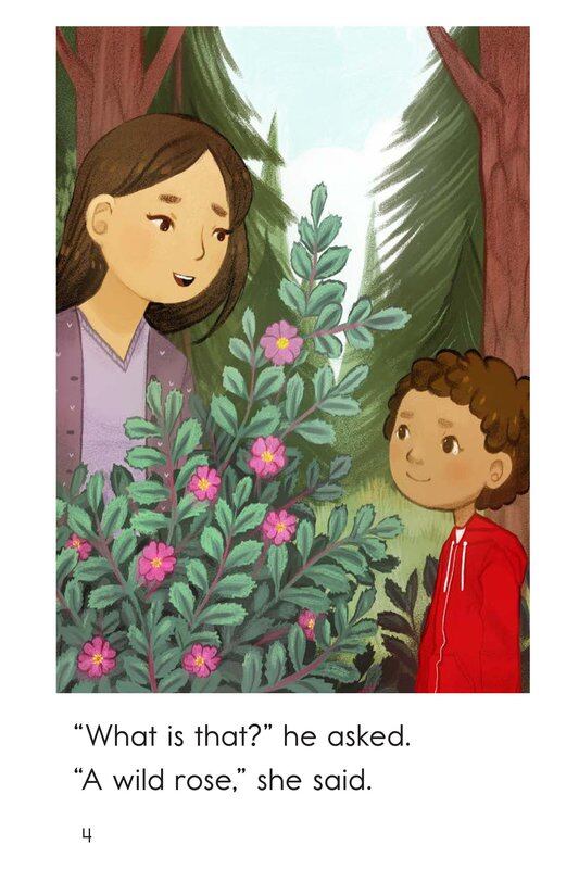 A Walk With Mom绘本故事第4页