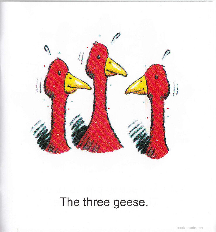 Three For Tea绘本故事第4页