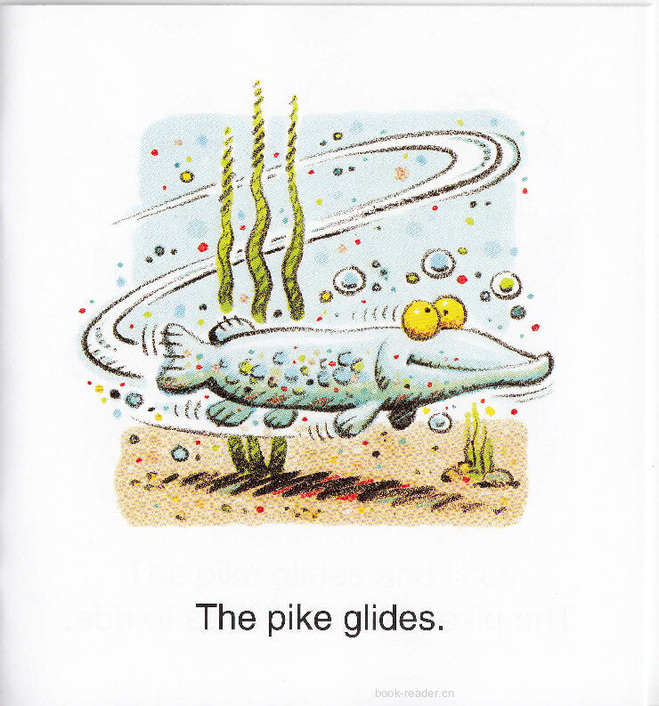 A Pike Glides绘本故事第4页