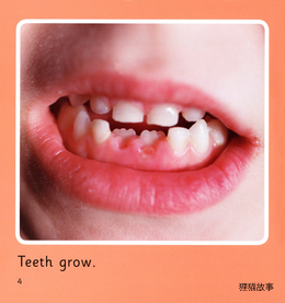 Teeth绘本故事第4页