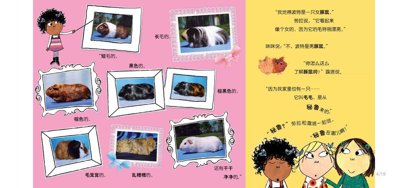 我特别了解豚鼠绘本故事第5页