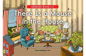 There Is a Mouse in the House