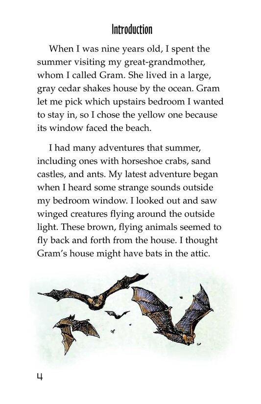 Bats in the Attic绘本故事第3页