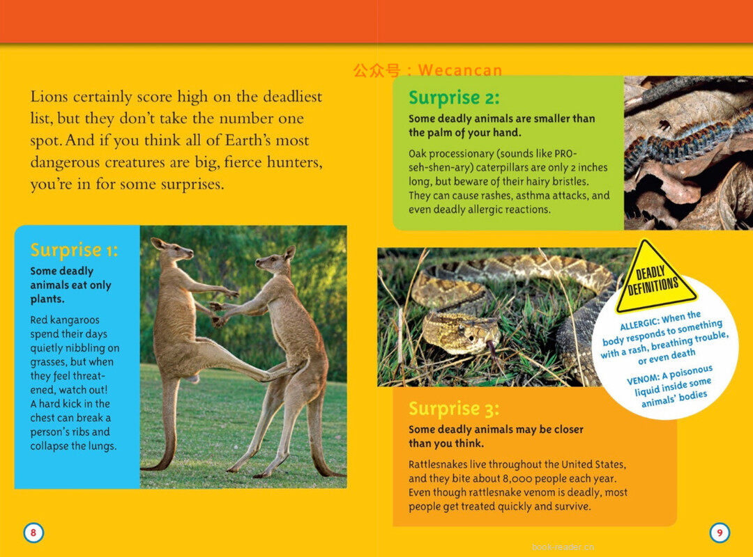 Deadliest Animals绘本故事第5页