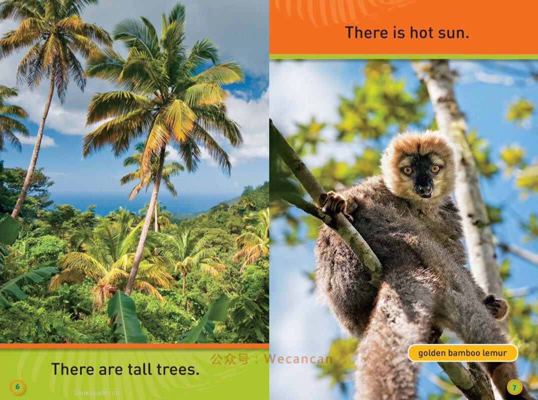 Swing Sloth绘本故事第5页