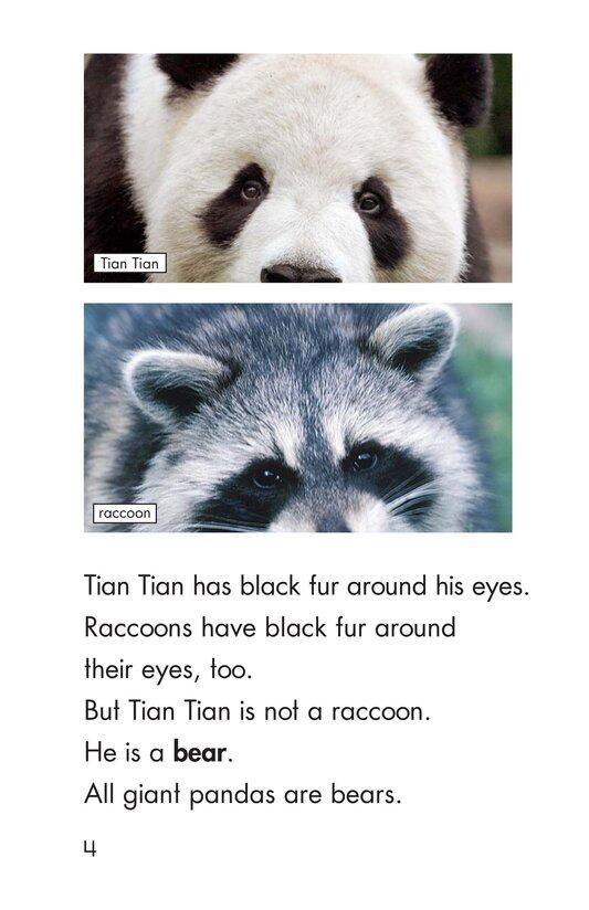 Tian Tian,a Giant Panda绘本故事第4页