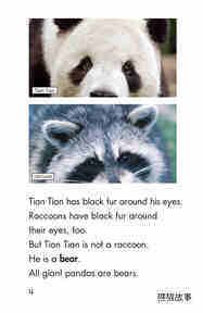 Tian Tian,a Giant Panda绘本故事第4页