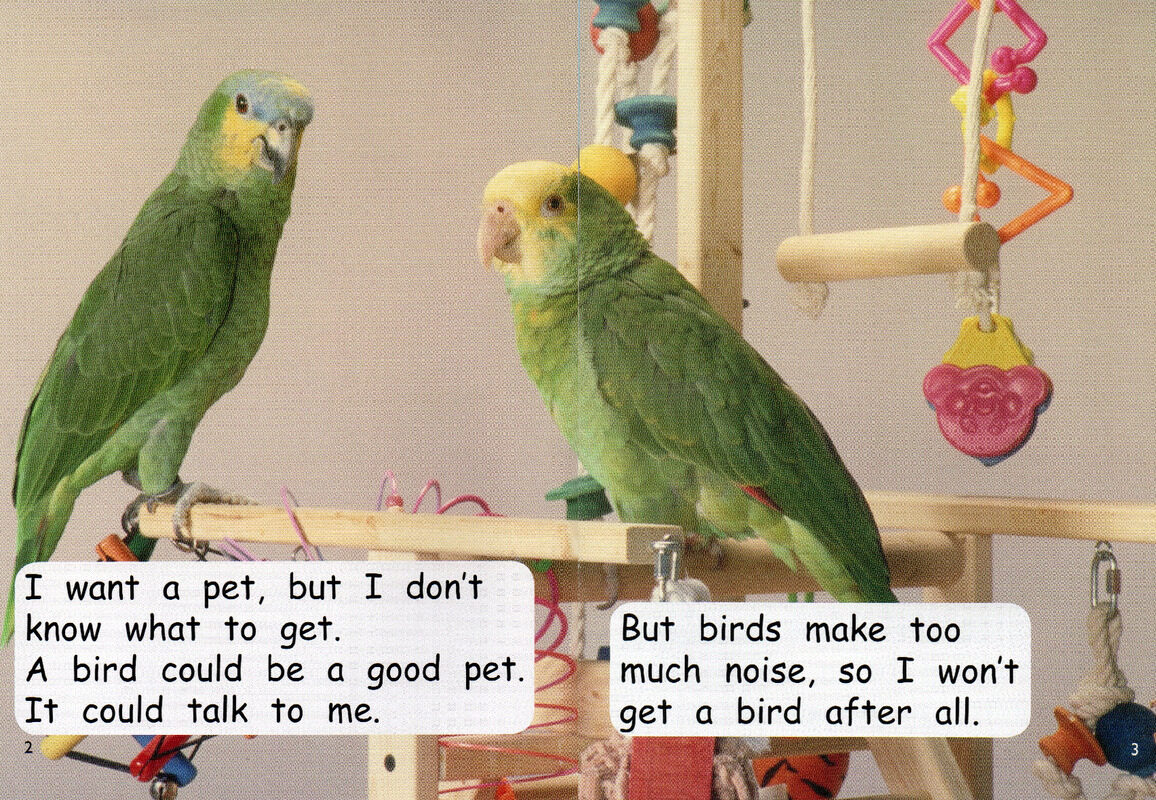 perfect pets绘本故事第3页