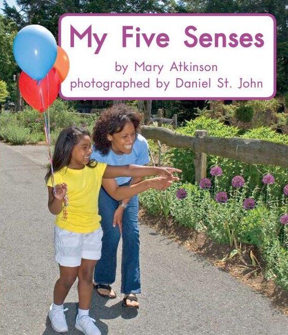 My five senses绘本故事第2页