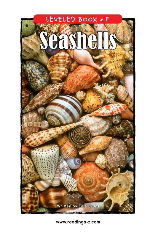 Seashells绘本故事第2页