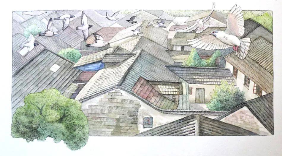 牙齿，牙齿，扔屋顶绘本故事第2页