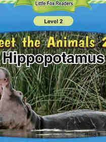 Hippopotamus