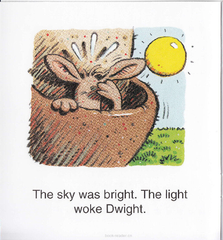 What a Sight绘本故事第3页