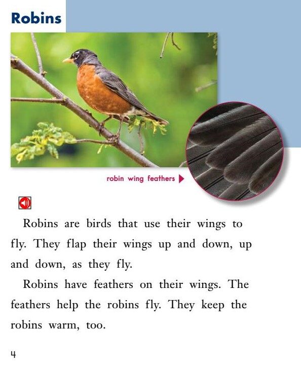 Animals with Wings绘本故事第4页