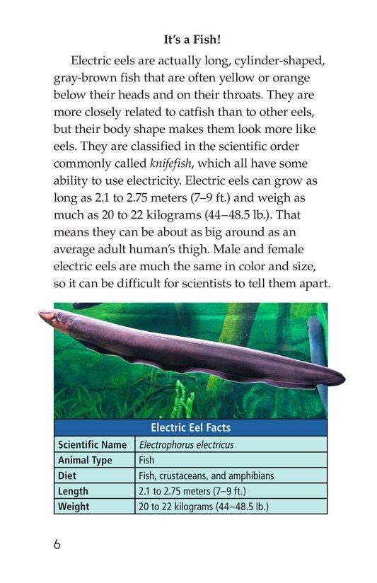 Electric Eels!绘本故事第5页