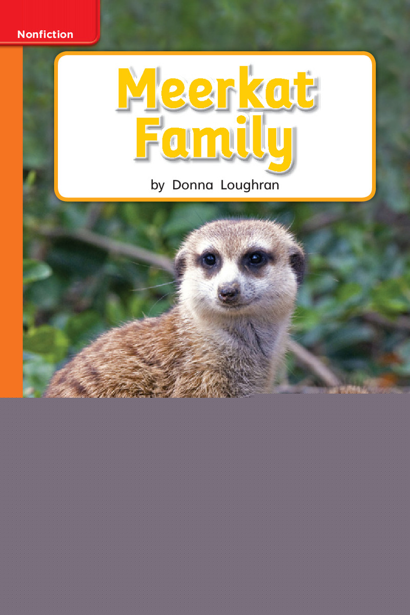G1 App U2W3 Meerkat Family绘本故事第2页