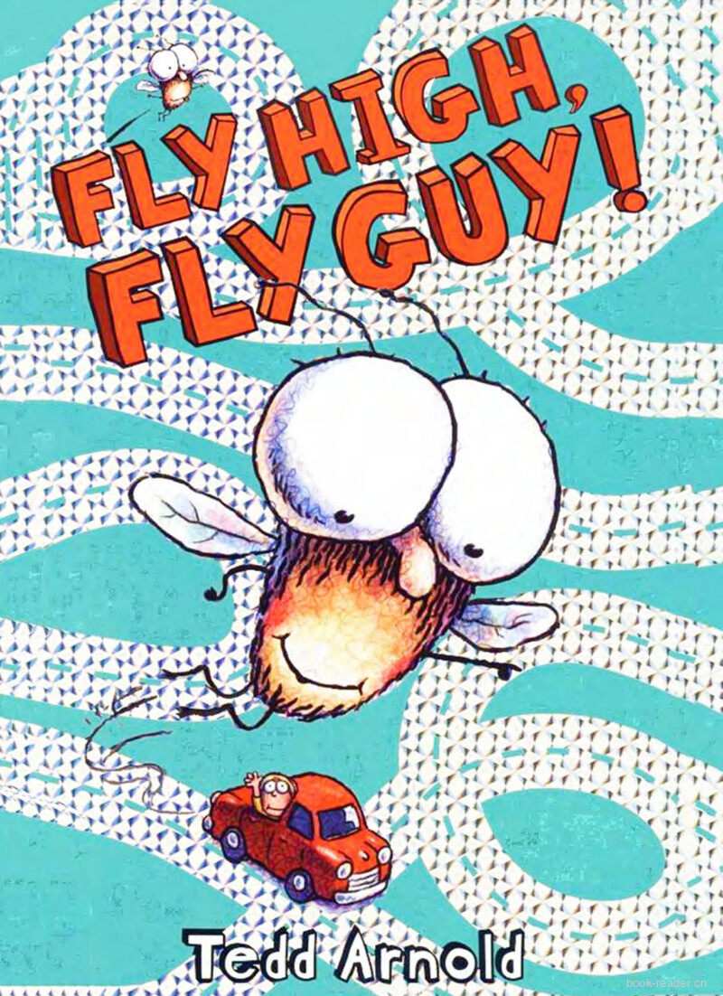 Fly High Fly Guy绘本故事第2页