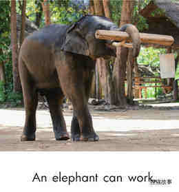 Animals Work and Play绘本故事第5页