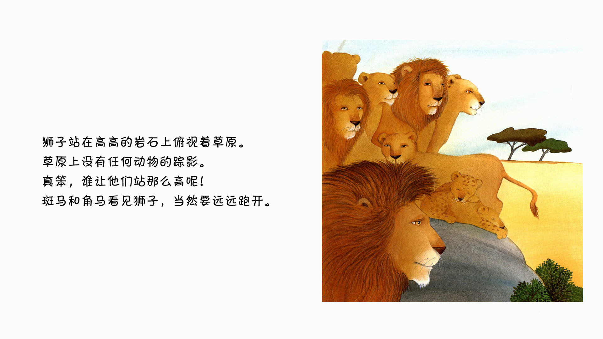 狮子绘本故事第3页