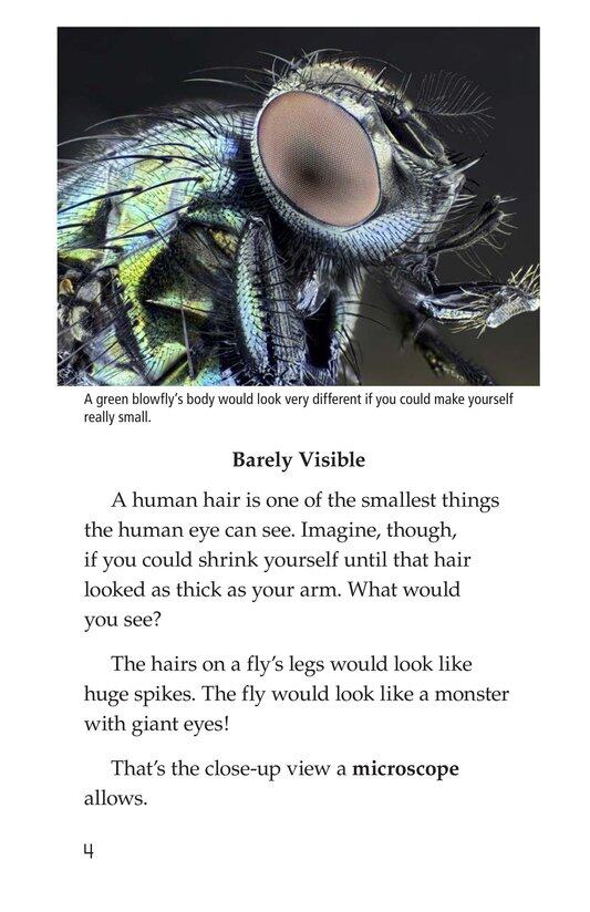 Through a Microscope绘本故事第3页