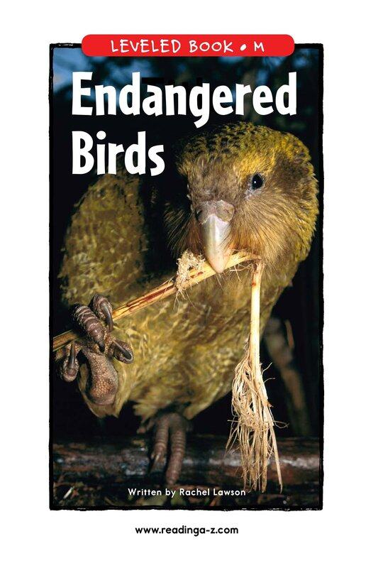 Endangered Birds绘本故事第2页