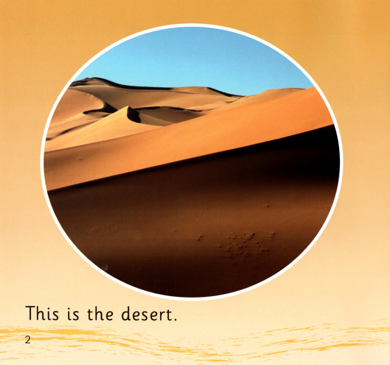 In the Desert绘本故事第3页