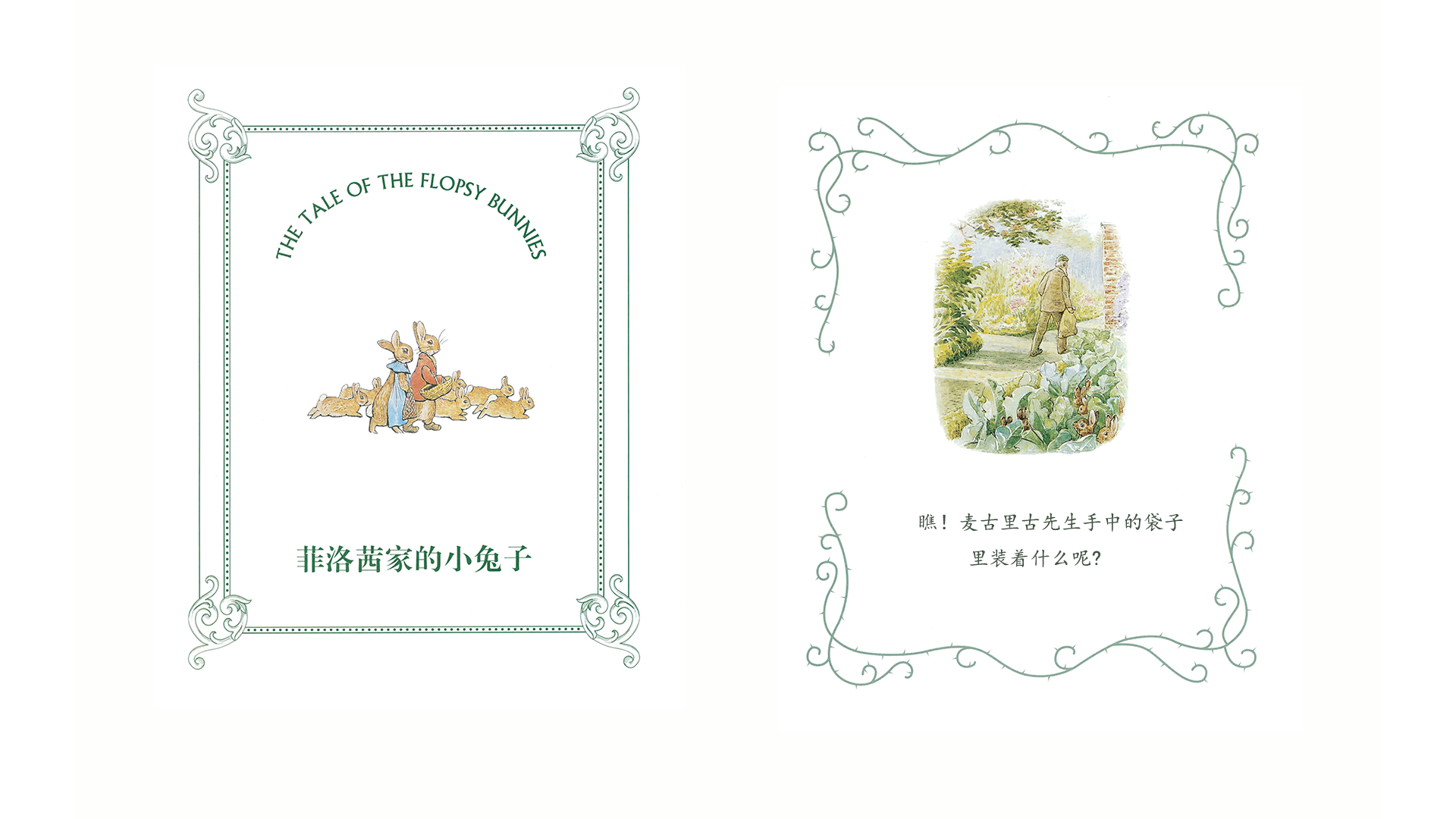 菲洛茜家的小兔子绘本故事第3页