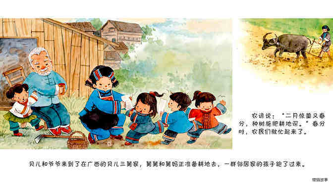 春分·采春茶绘本故事第4页