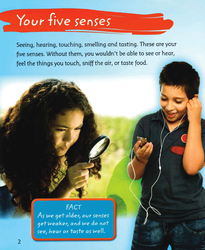 Your Senses绘本故事第3页