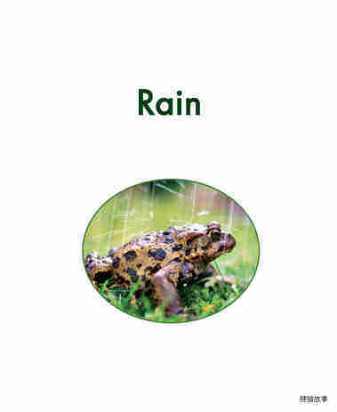 Rain绘本故事第2页