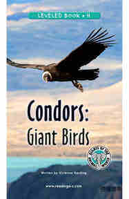 Condors Giant Birds