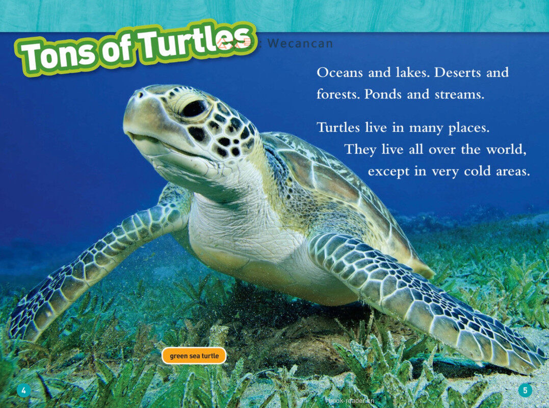 Turtles绘本故事第3页